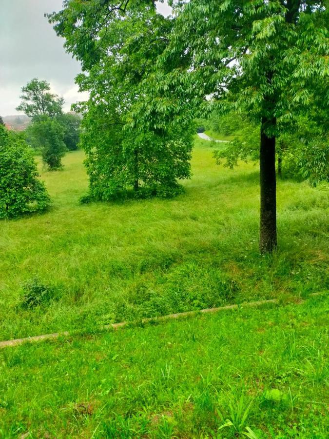 Il Bosco Incantato Borgo San Dalmazzo Exteriör bild