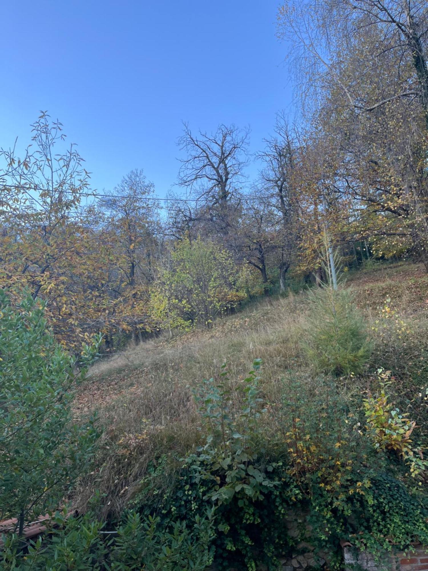 Il Bosco Incantato Borgo San Dalmazzo Exteriör bild